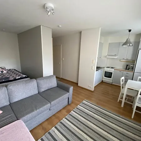 Apartman Yksioe Autopaikalla, Niinivaara *